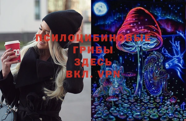 шишки Няндома