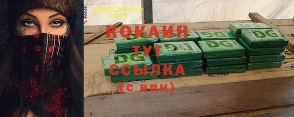 шишки Няндома