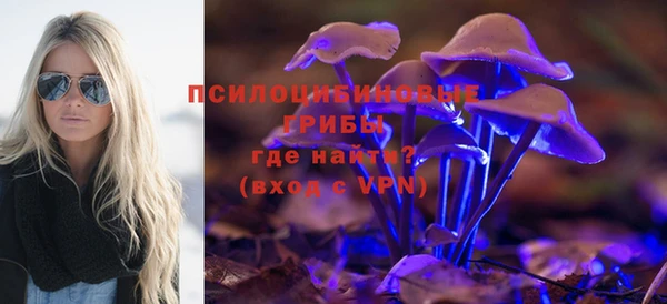 шишки Няндома