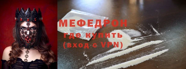 шишки Няндома