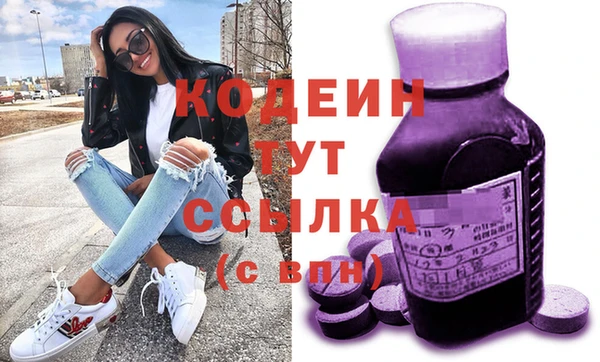 шишки Няндома