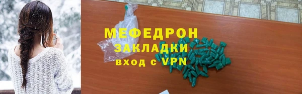 шишки Няндома