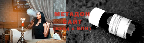 шишки Няндома