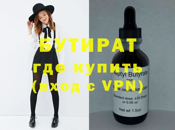 шишки Няндома