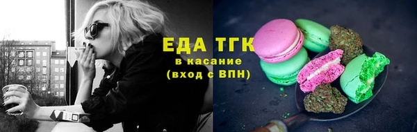 шишки Няндома