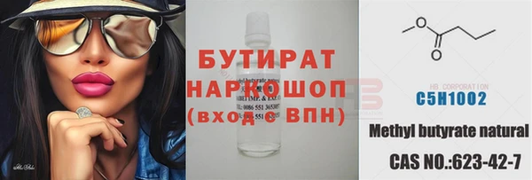 шишки Няндома