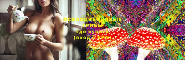 шишки Няндома