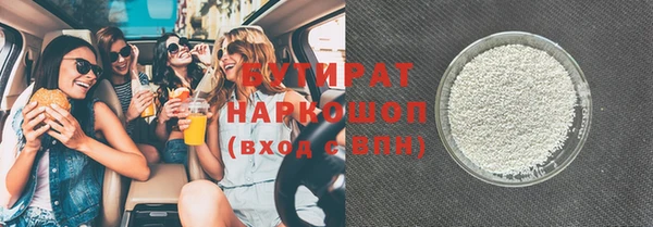 шишки Няндома
