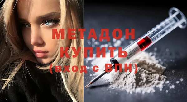 шишки Няндома