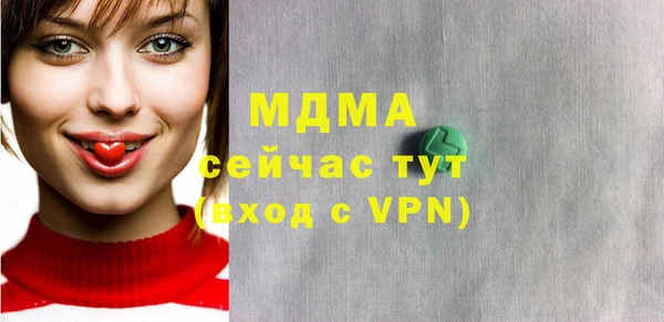 шишки Няндома