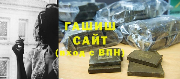 шишки Няндома