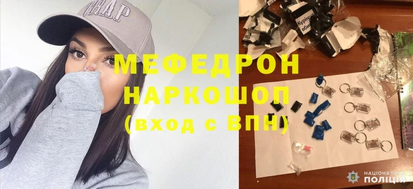 шишки Няндома