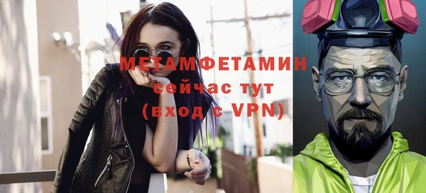 шишки Няндома