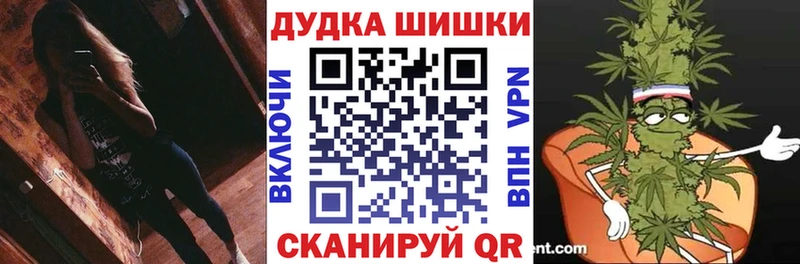 купить закладку  Шенкурск  площадка как зайти  Шишки марихуана индика 